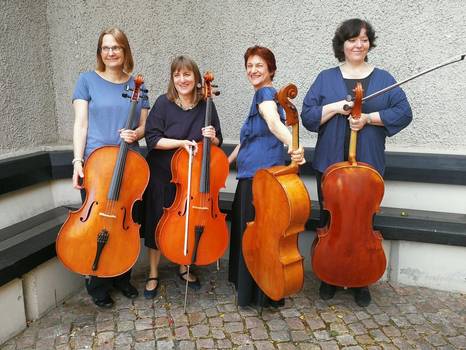 cello classico foto frank m ller