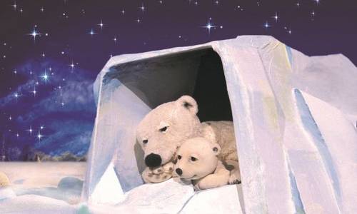 Eisbär1 kl (c) Agentur