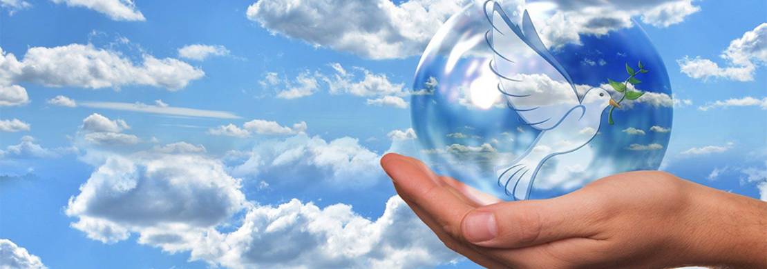 Pixabay - Weiße Taube in durchsichtiger Kugel auf einer Hand vor Himmel