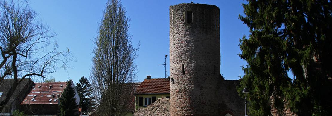 Stumpfer Turm Alte Stadtmauer