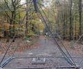 Barrikaden auf den Waldwegen stellen eine Gefahr für Waldbesucher dar. (Foto: Privat)