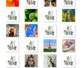 ArtPeople Ausstellung Stadthalle © Art People