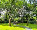 Neues Grabfeld auf dem Friedhof © Katharina Holler/KBL