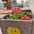 Hochbeet Kita Sonnenschein © privat
