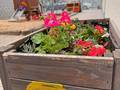 Hochbeet Kita Sonnenschein © privat