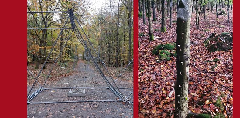 Slider Schäden und Gefahren im Wald
